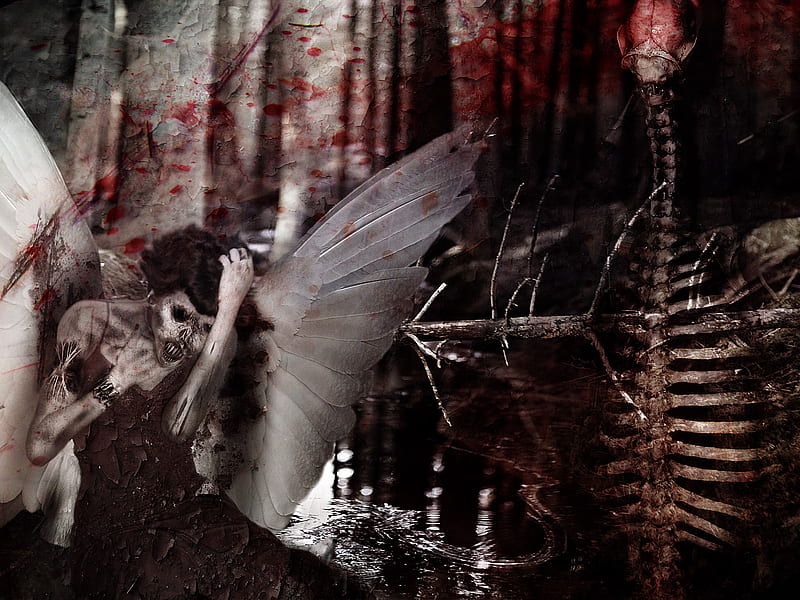 Forsaken Angel, skeleton, wings, angel, winged, rotting, blood, HD wallpaper