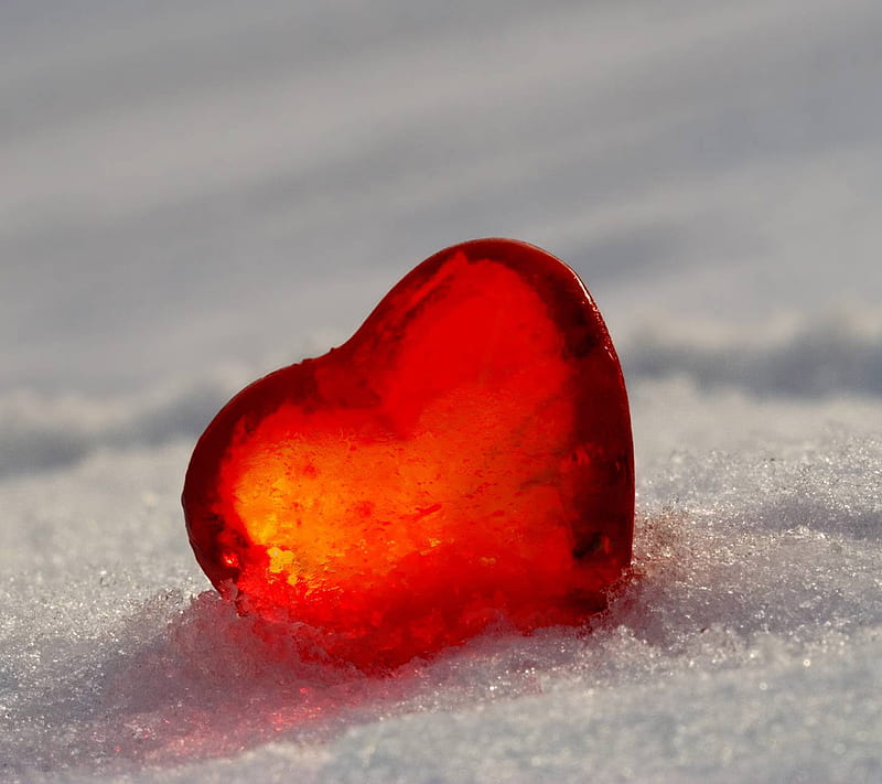 Valentine, heart, love, snow, HD wallpaper