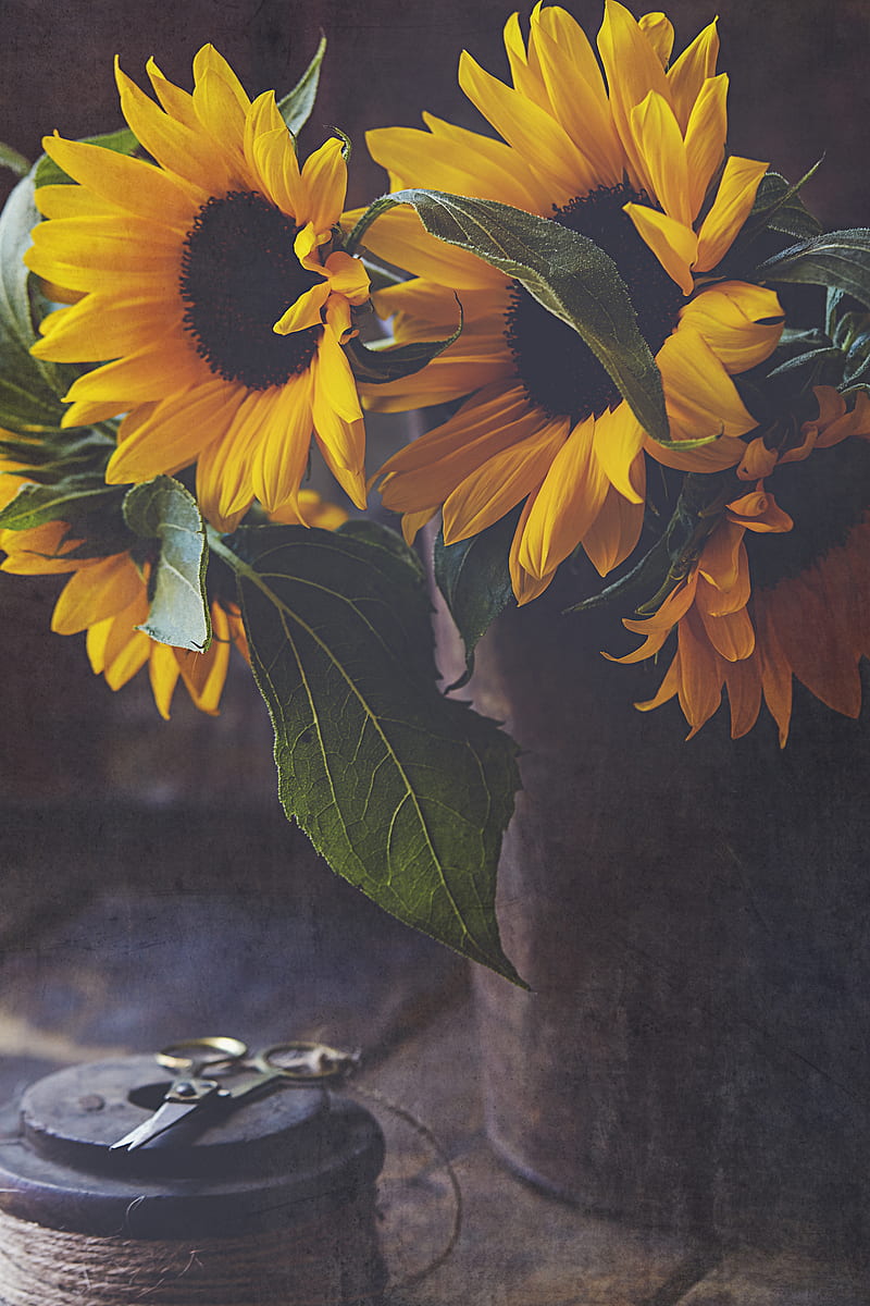sunflowers, flowers, bouquet, floristry, HD phone wallpaper