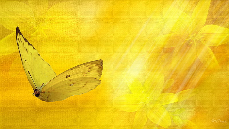 Butter Yellow Floral, butterfly, bright, summer, flowers, yellow, firefox persona, spring, HD wallpaper