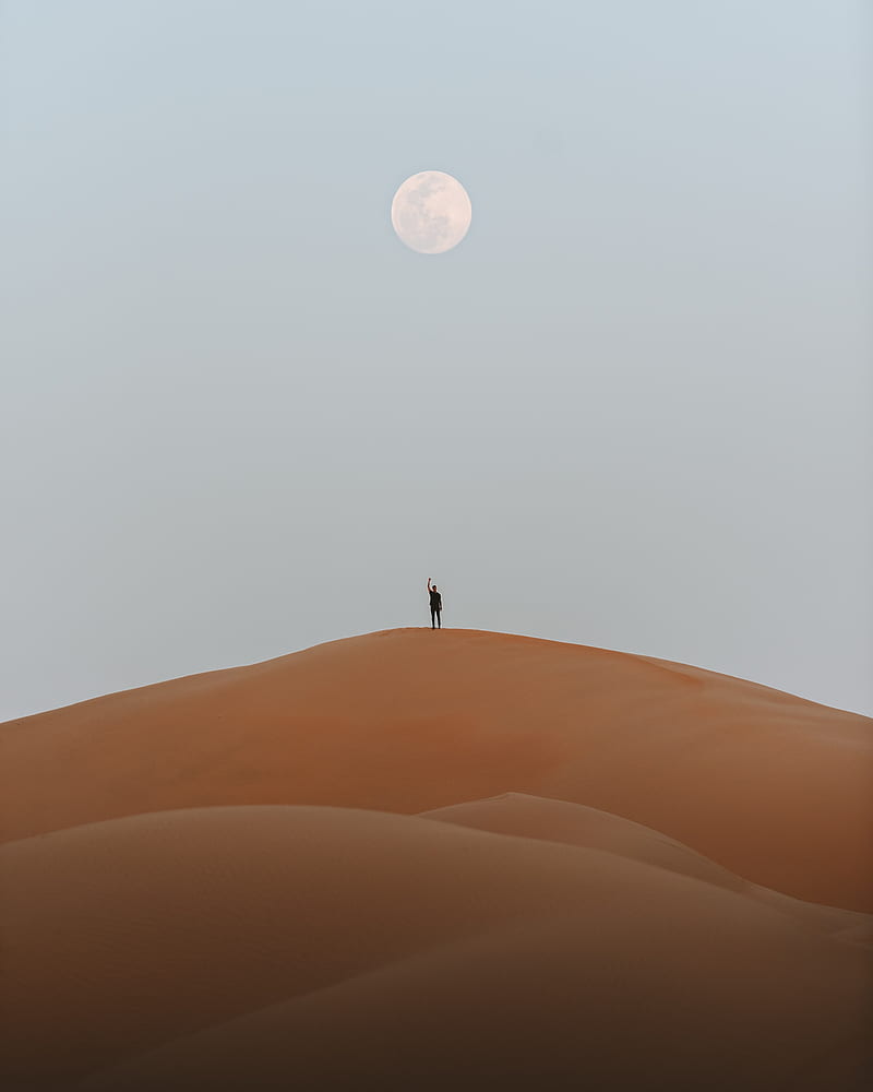 silhouette, desert, sand, moon, HD phone wallpaper