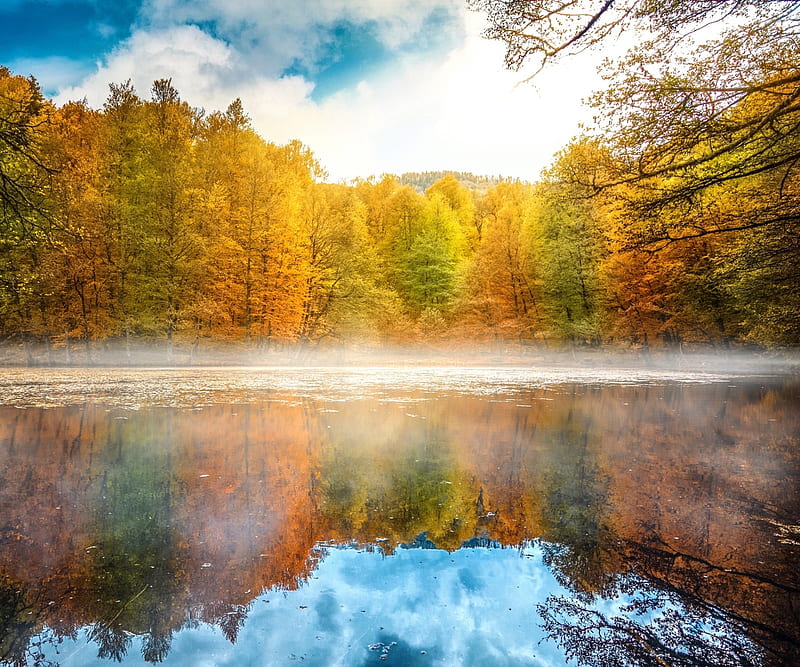 Earth's Autumn Reflections, Fall Season, Forests, Lakes, Fog, Reflections, Nature, Trees, Clouds, Autumn, HD wallpaper