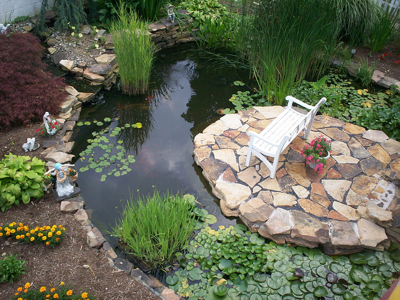 A quiet place, gardens, water feature, quiet spot, water plants, HD wallpaper