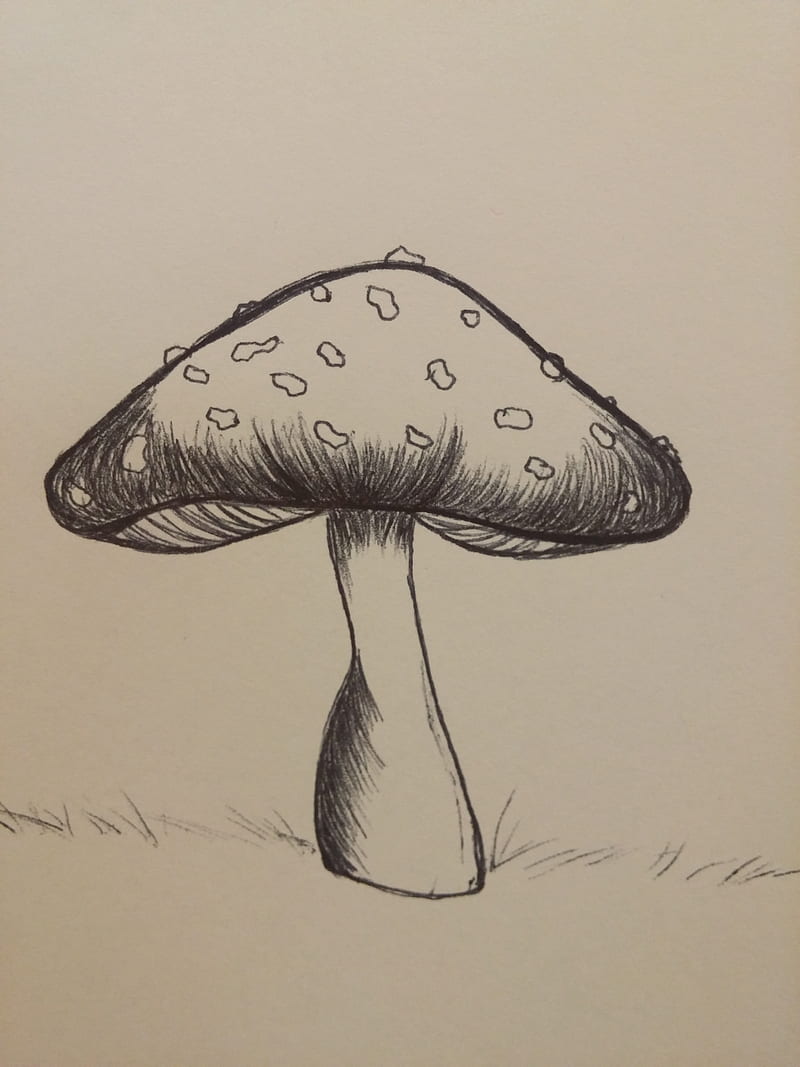 How to Draw a Mushroom  Skip To My Lou