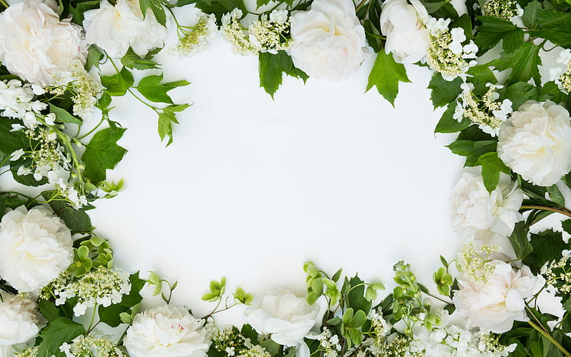 flower frame, white spring flowers, white roses, white flowers frame, white background, HD wallpaper