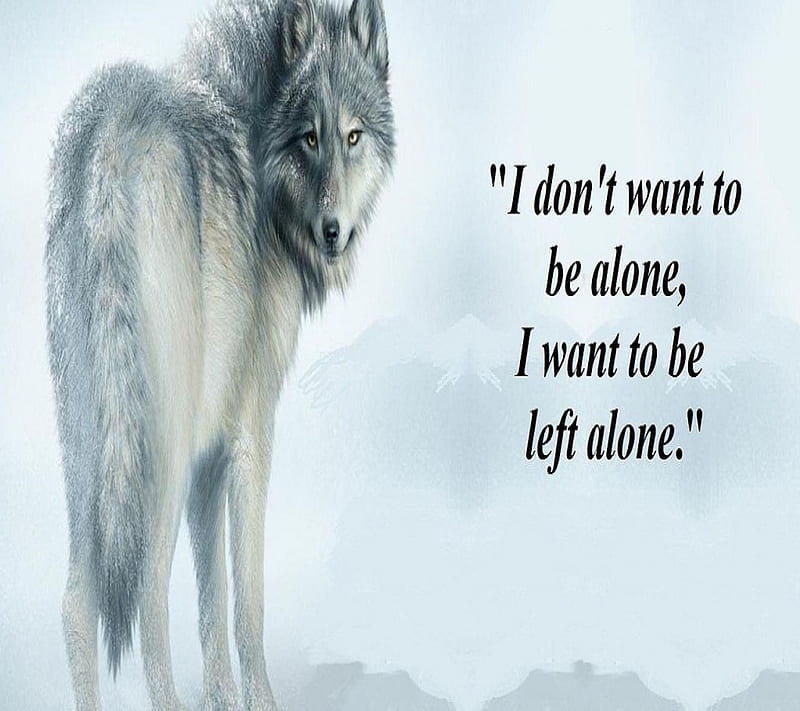 Wolf Quote, HD wallpaper