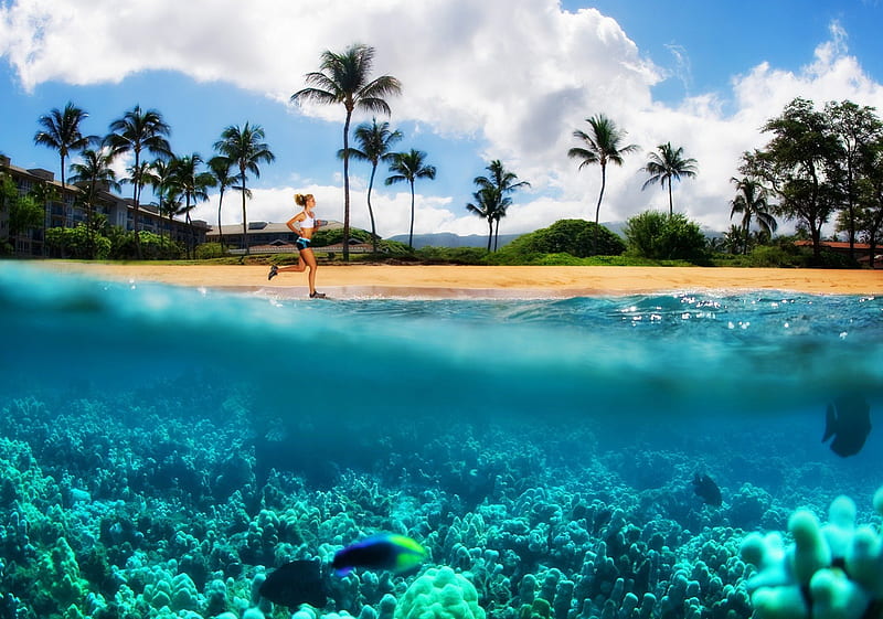 Kanappali Beach Maui Hawaii, reef, shot, sea, beach, lagoon, sand, coral reef, maui underwater, exotic, islands, ocean, hawaii, coral, paradise, island, tropical, jogger, HD wallpaper