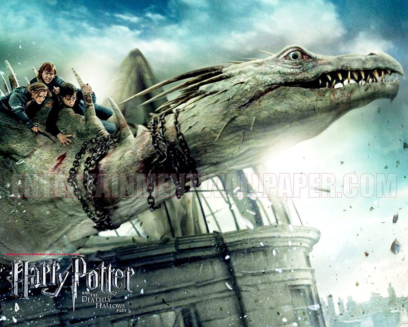 Harry potter 7 Part 2 In Dragon, daniel, emma watson, dragon, harrypotter, HD wallpaper