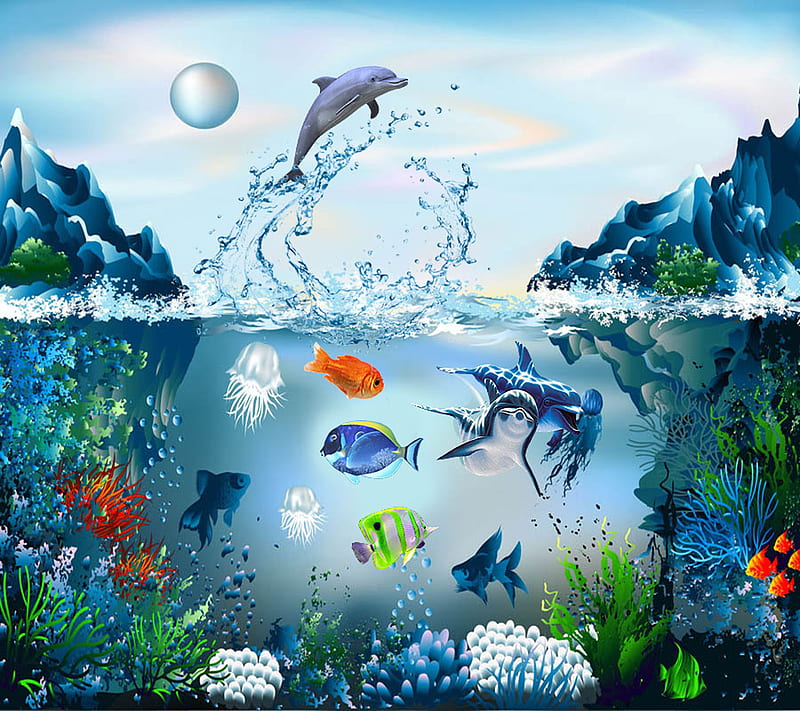Fish, tank, HD wallpaper