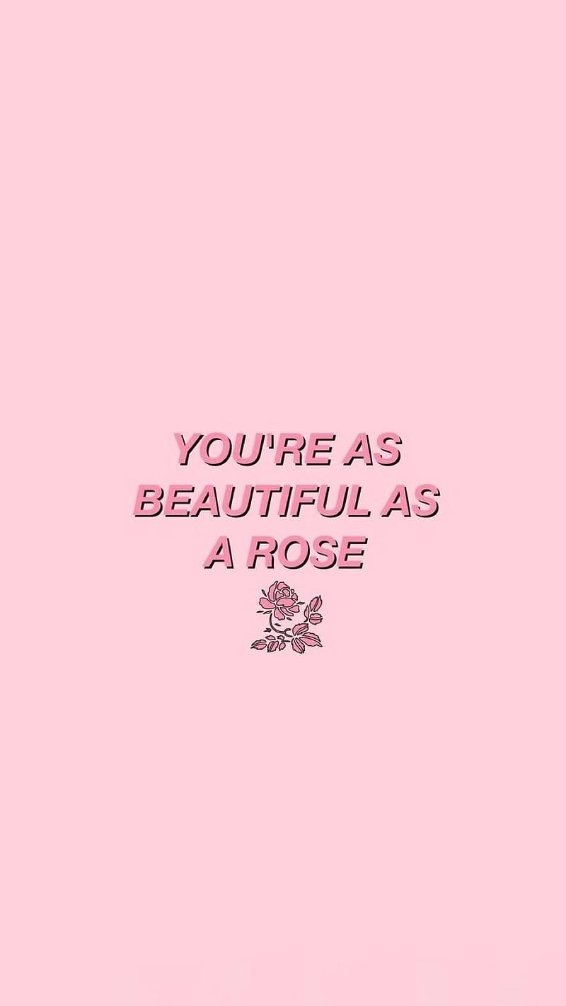 Aesthetic Quotes, Rose, pink background, HD phone wallpaper | Peakpx