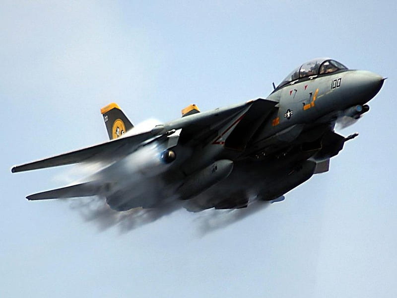 Grumman F-14 Tomcat, fight, grumman, f14, tomcat, HD wallpaper