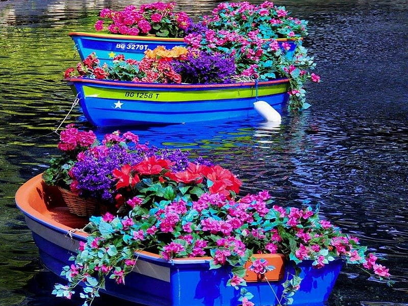 Floating gardens, boats, flowers, colors, spring, floating, HD wallpaper