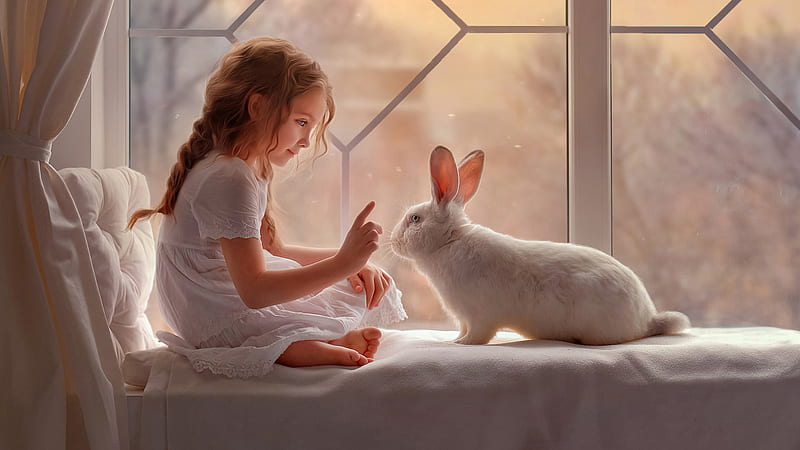 cute little girl is playing with white rabbit wearing white dress cute, HD wallpaper