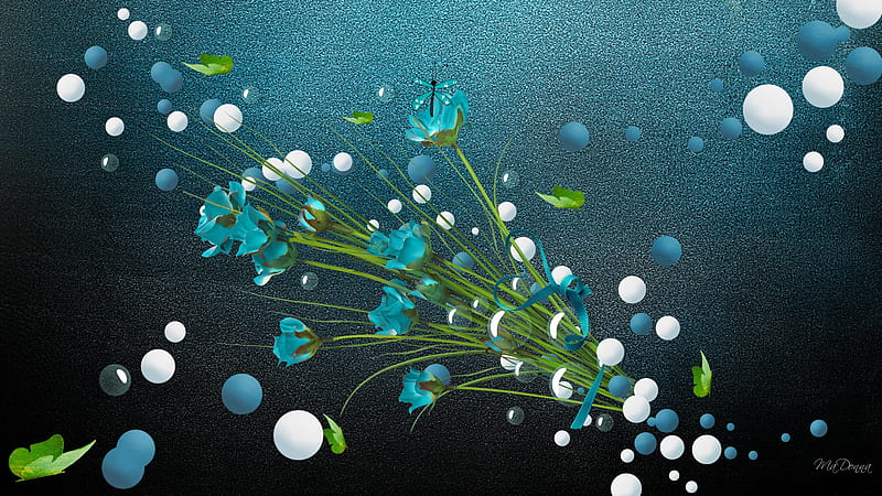 Aqua on Aqua, cyan, leaves, dragonfly, aqua, circles, flowers, collage, abstract, HD wallpaper