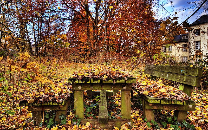 Decay in autumn - The Beauty Of Urban Decay, HD wallpaper