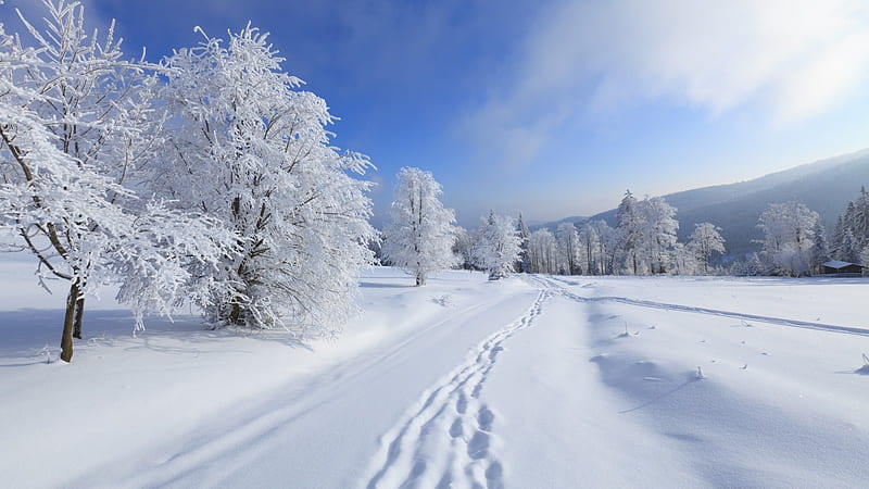 Deep Winter, sky, trees, road, snow, HD wallpaper