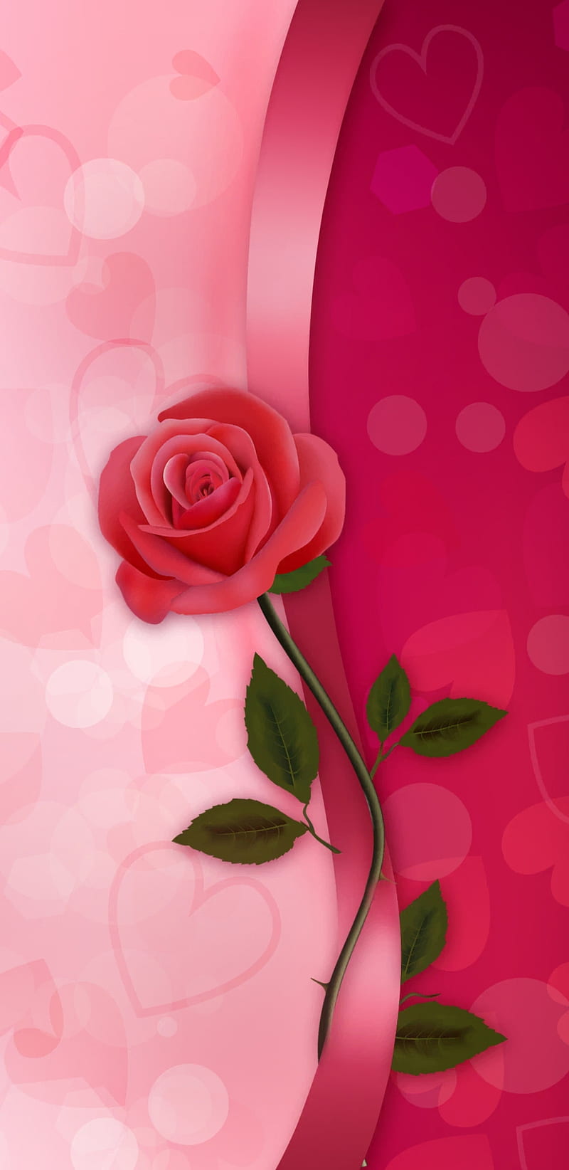 RibbonNRose, flowers, heart, corazones, love, pink, red, ribbons, rose, roses, valentine, HD phone wallpaper