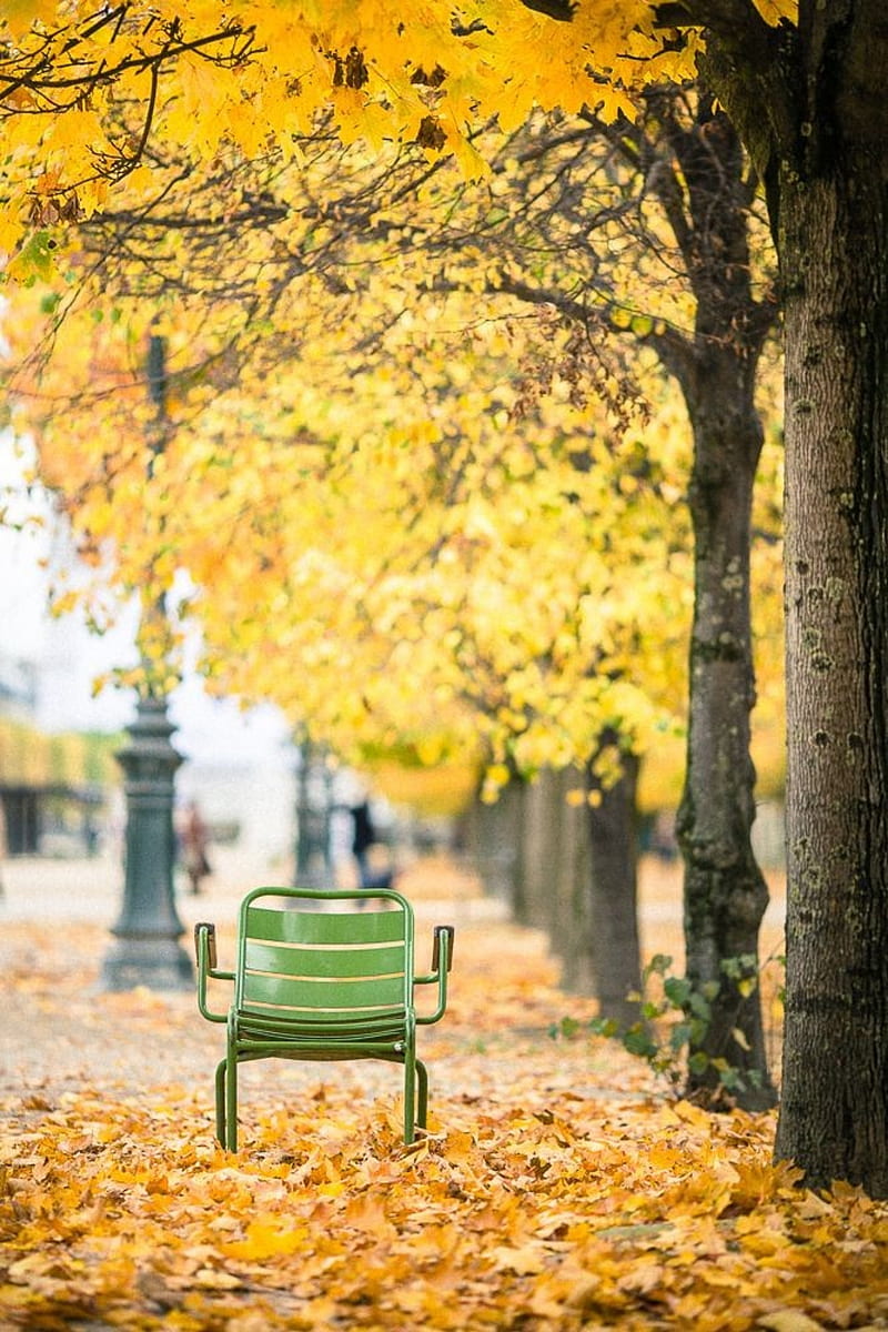 Nature, autumn, chair, love, romantic, HD phone wallpaper | Peakpx