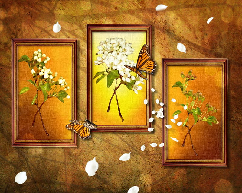 ✫Around Frame with Delight✫, cherry branches, frames, love four seasons, butterflies, attractions in dreams, creative pre-made, digital art, textures, manipulation, plants, summer, backgrounds, butterfly designs, animals, HD wallpaper