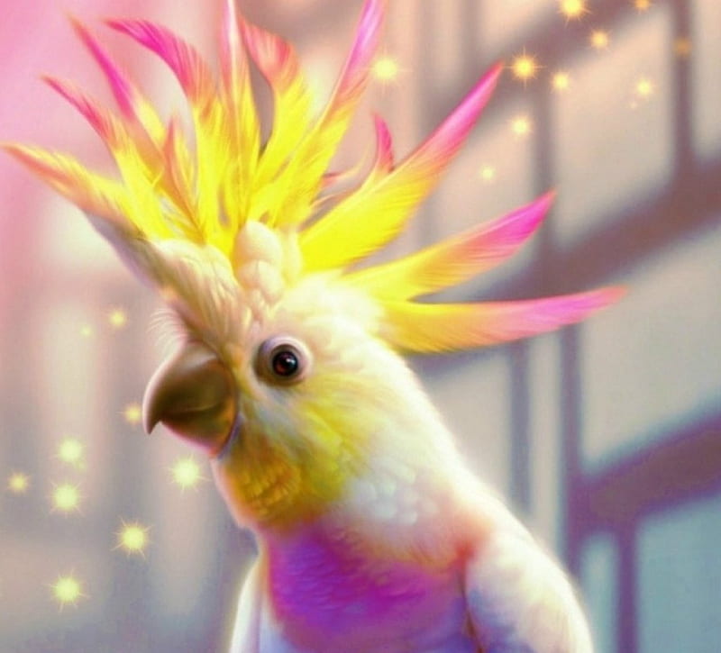 Magic Cockatoo, bird, magical, yellow, cockatoo, pink, hopped, HD wallpaper