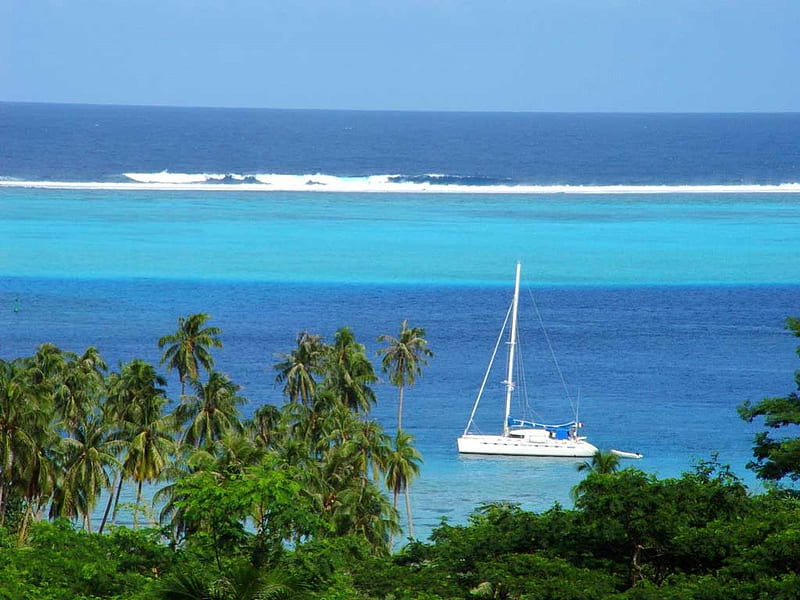 Huahine Island, French Polynesia, yacht, ocean, french polynesia, island, tropical, palms, HD wallpaper