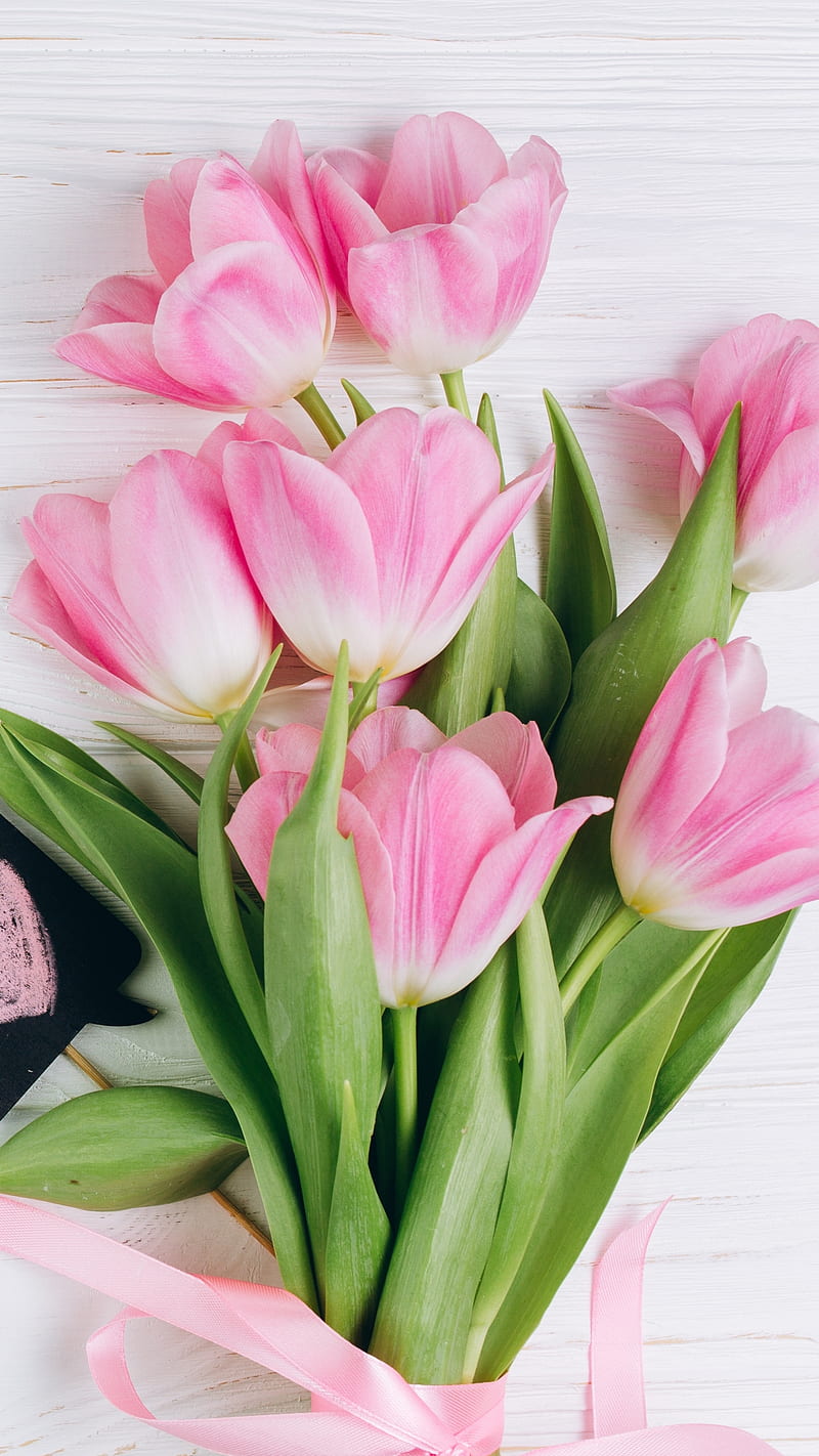 Tulip , flower, bouquet, pink, HD phone wallpaper