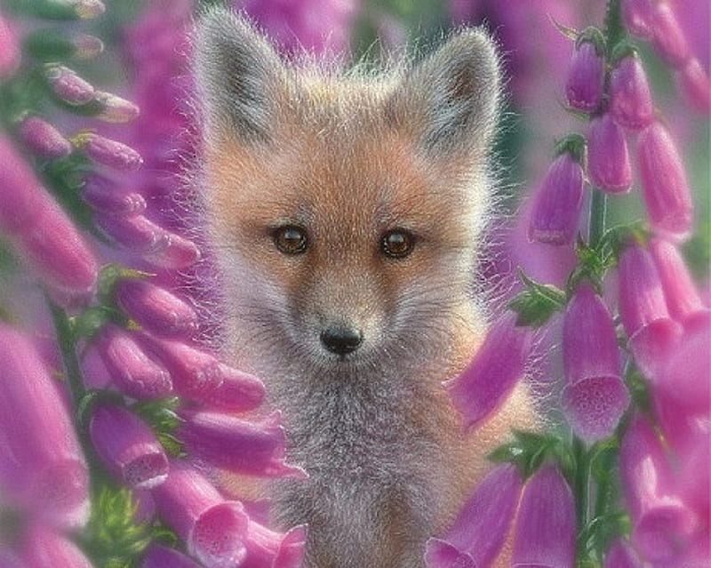 Foxgloves, love four seasons, garden, flowers, foxes, Red Fox, spring, animals, HD wallpaper