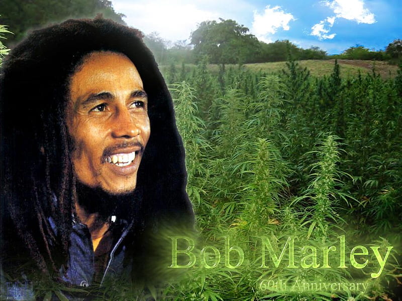 bob marley, green, HD wallpaper