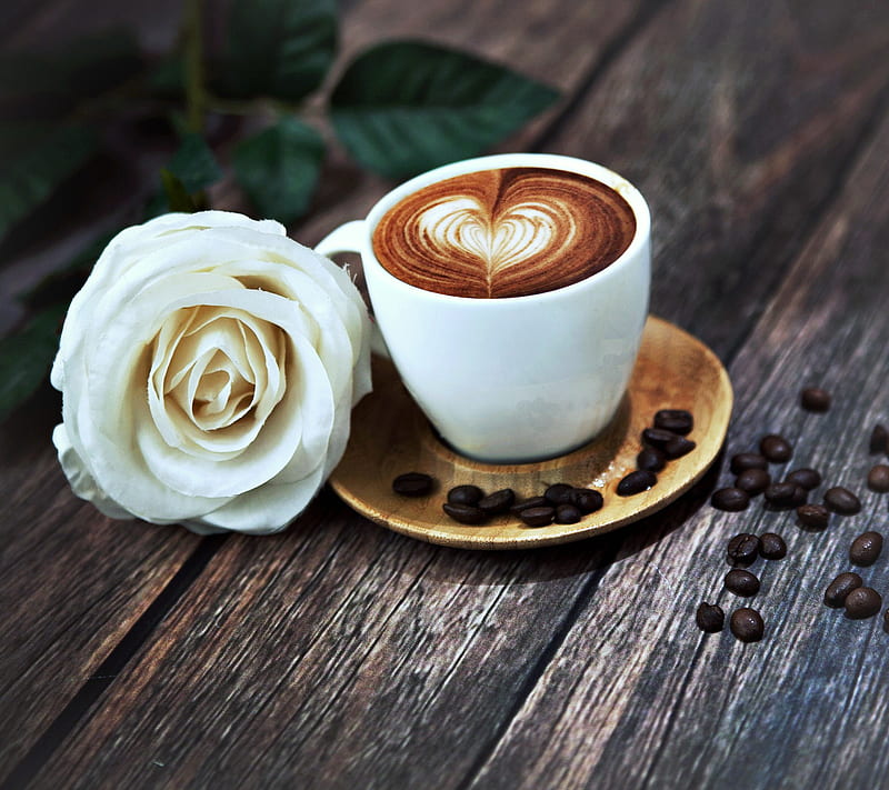 Coffee, morning, new, nice, rose, HD wallpaper