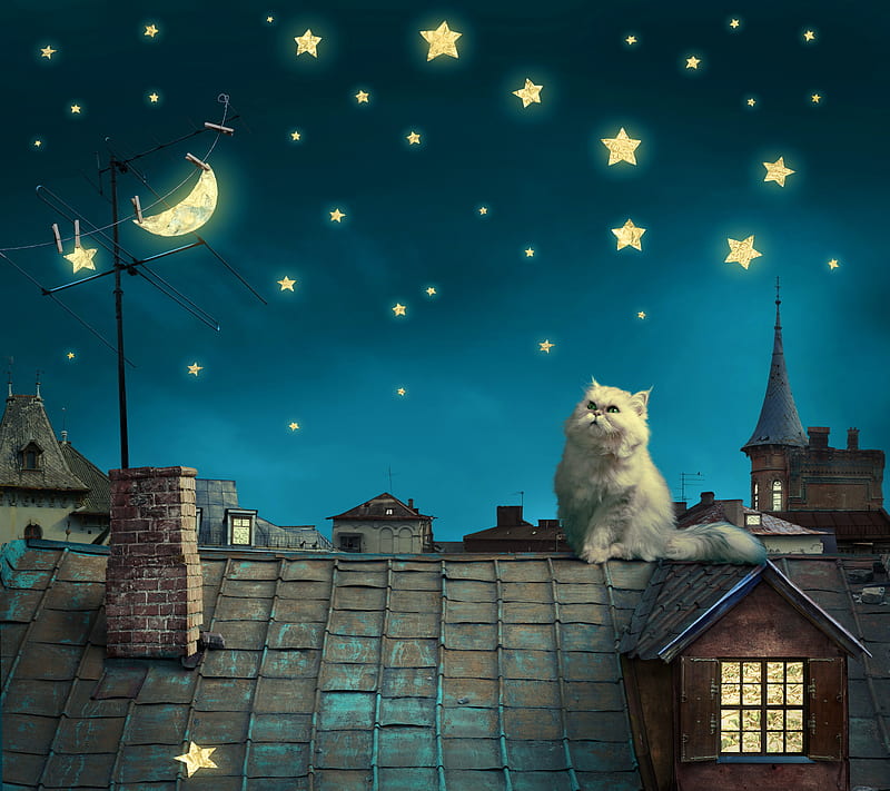 Magic Night, background, cat roof house, stars moon, HD wallpaper