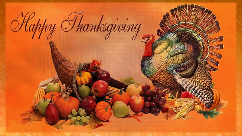 Turkey Cornucopia, Thanksgiving, Feast, Cornucopia, Happy Thanksgiving, Food, Turkey, HD wallpaper