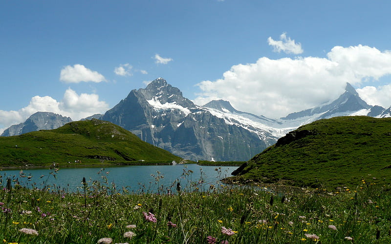 Beautiful Switzerland, hills, reservoir, sky, clouds, alpine, mountain, snow, wild, flower, blue, HD wallpaper