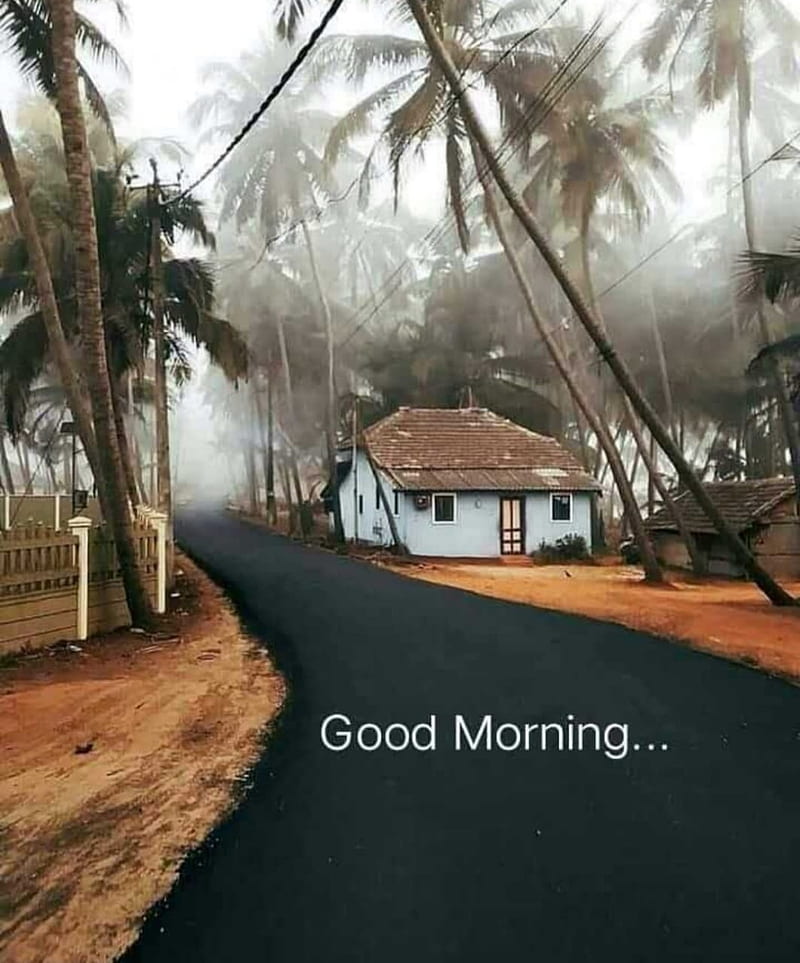 Good Morning Village, nature, good morning, winter, road, winter is here, HD phone wallpaper