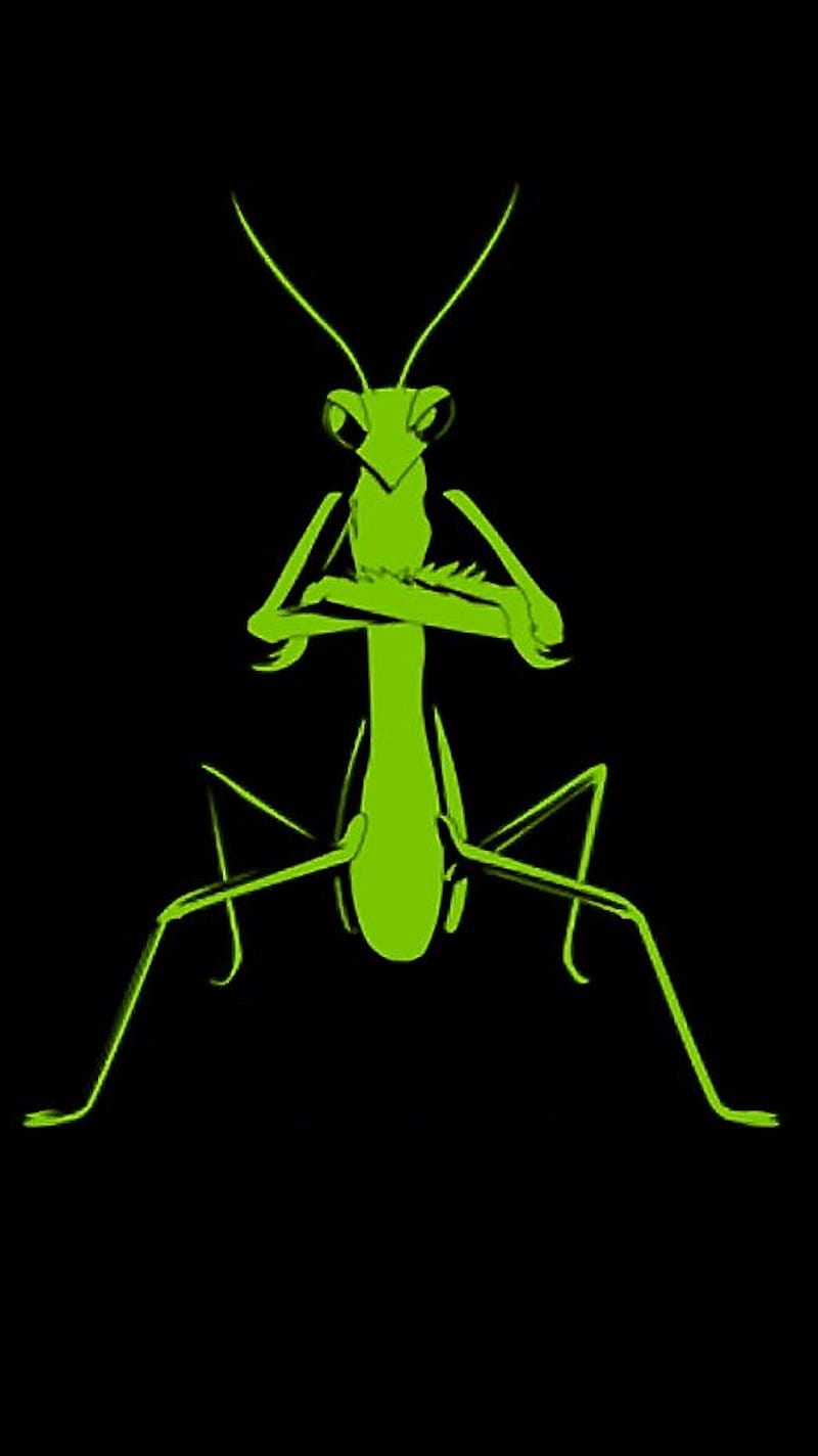 Grasshopper, mnb, tyr, HD phone wallpaper