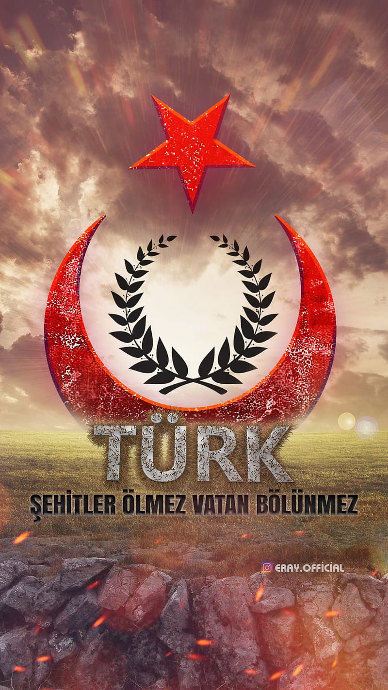 Turk ayyildiz, afrin, asker, ay yildiz, gurur, millet, sehit, turkiye, vatan, zeytin dali, HD phone wallpaper