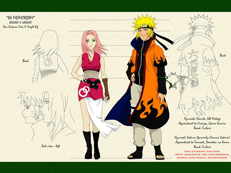 naruto hokage 6