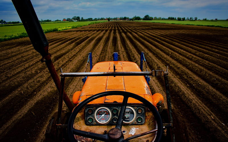 plowing the fields on a tractor, furrows, cultivated, tractor, fields, HD wallpaper