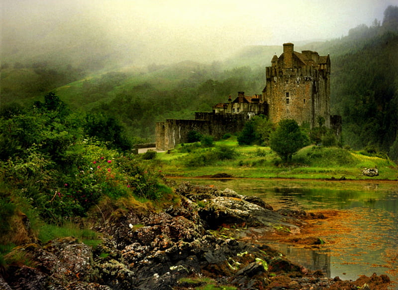 Mysterious Ruins, hills, rocks, water, flowers, trees, castle, fog, mist, HD wallpaper