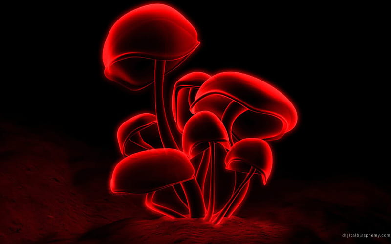 shrooms. jpg, neon, red, funky, wild, HD wallpaper