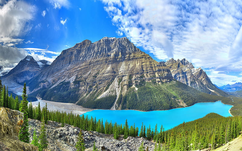 Peyto Lake, summer, Banff, mountains, forest, Alberta, canadian landmarks, Banff National Park, Canada, HD wallpaper