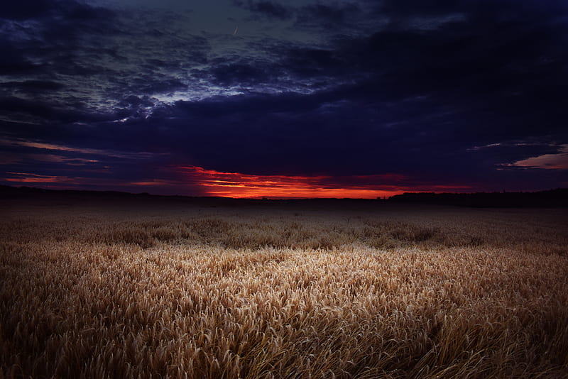 Dark Field Covered By Clouds Sunset , field, sunset, clouds, sunset, nature, HD wallpaper