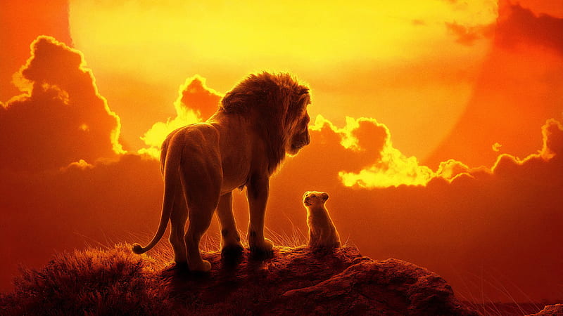 The Lion King Movie, the-lion-king, lion, 2019-movies, movies, disney, simba, HD wallpaper