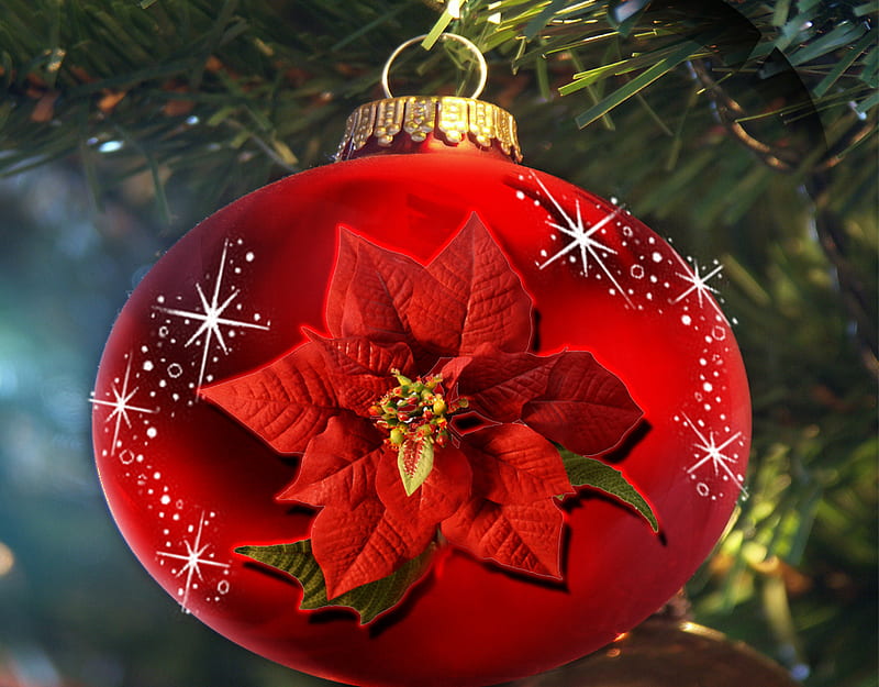 Christmas Decorations, red, holidays, merry, christmas, decorations, flower, poinsettia, HD wallpaper