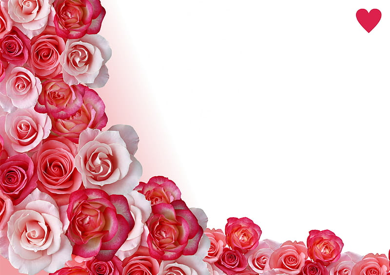 * With Love *, red, special, still, roses, gift, elegant, graphy, love, heart, day, HD wallpaper