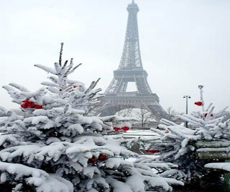 Winter In Paris, Spitfire, DeSota, Ford, Chimo, HD wallpaper