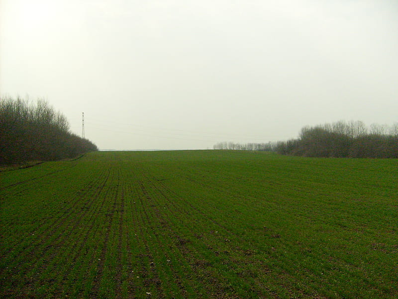 Ploughing land, nature, spring, green, HD wallpaper