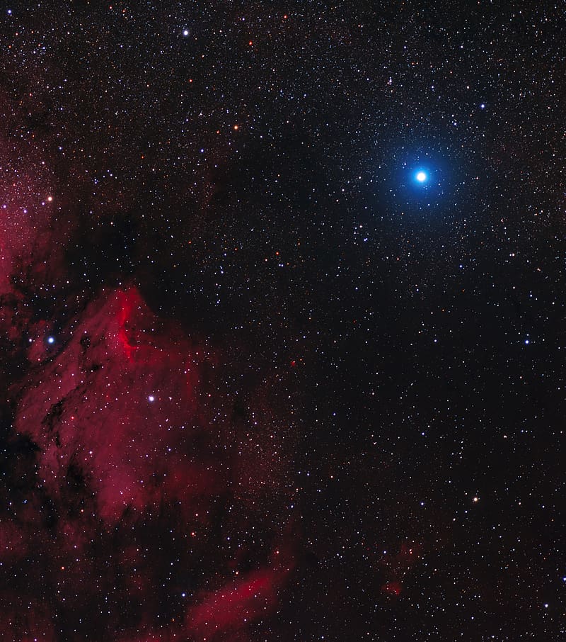 alpha cygnus, constellation, stars, space, HD phone wallpaper