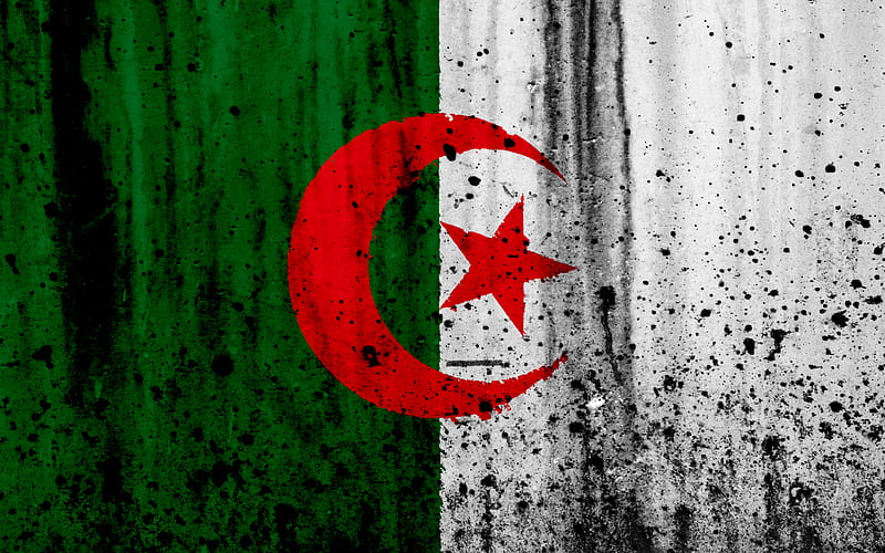 Algerian flag grunge, flag of Algeria, Africa, Algeria, national symbols, Algeria national flag, HD wallpaper