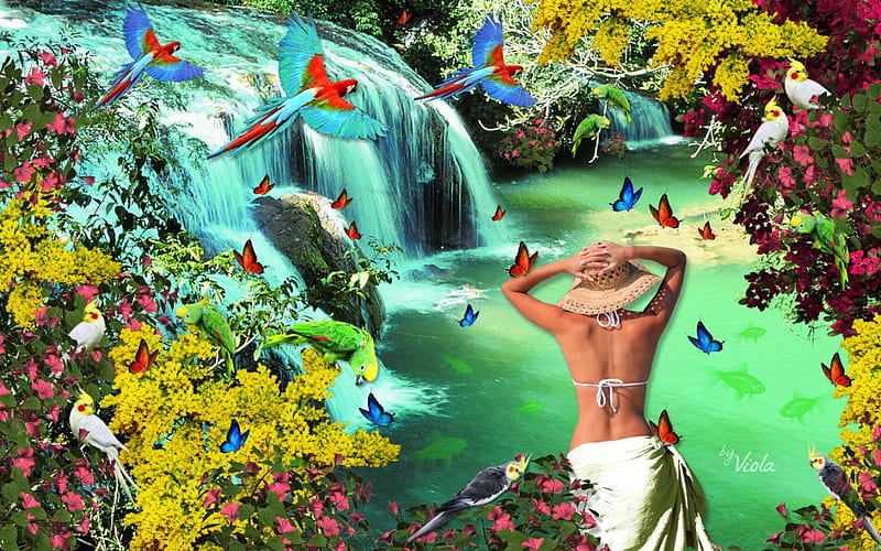 Waterfall Fantasy, Viola Tricolor, sun, fish, birds, butterflies, water, summer, waterfall, nature, parrots, parakeets, tropical, HD wallpaper