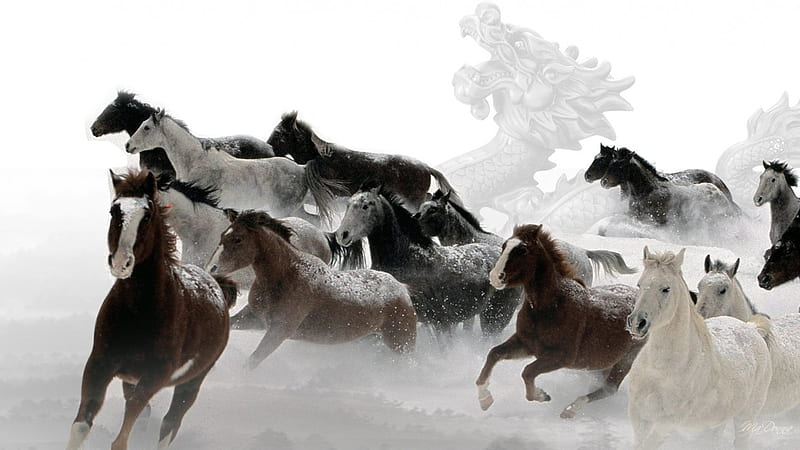 Horses and Dragons, galloping, ranch, herd, dragon, horses, equestrian, strong, strength, running, dust, abstrtact, HD wallpaper